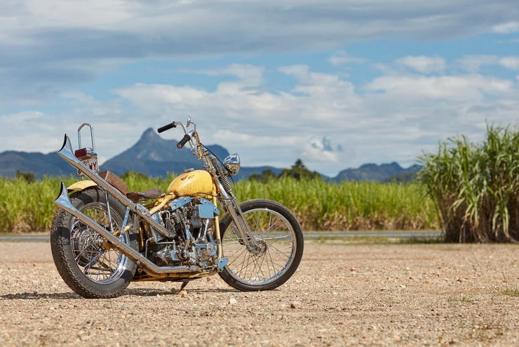 Dice Magazine Issue 109