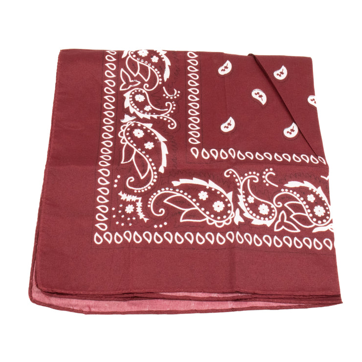 Paisley Bandana