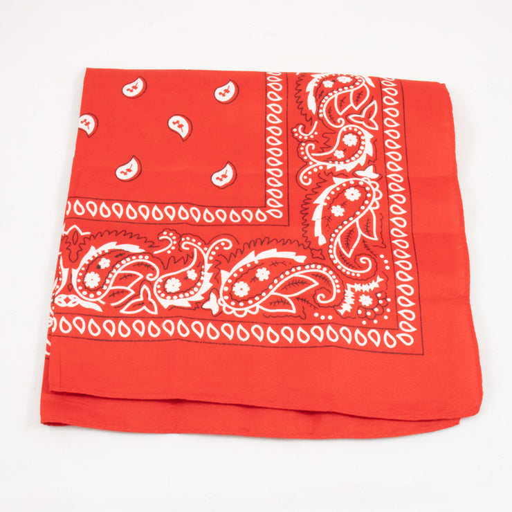 Paisley Bandana