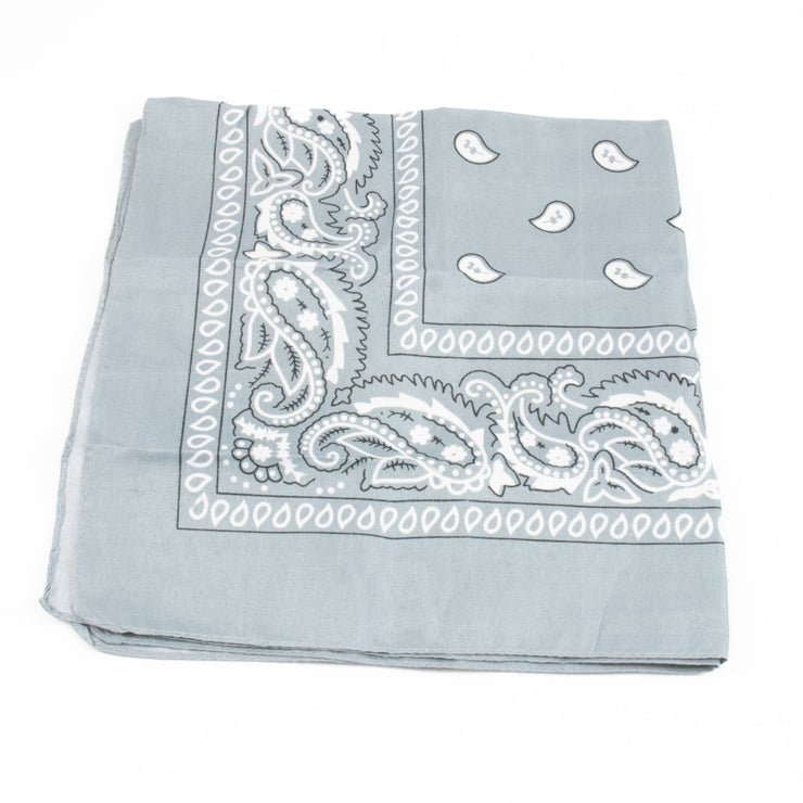 Paisley Bandana
