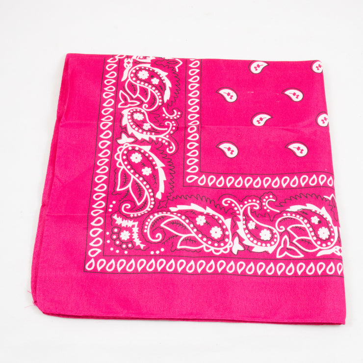Paisley Bandana