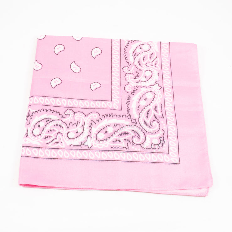 Paisley Bandana