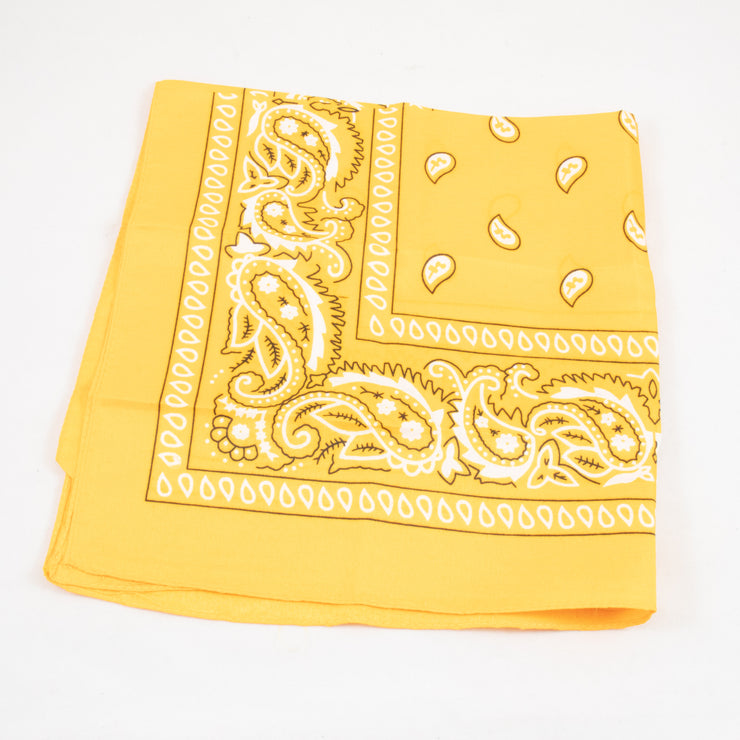 Paisley Bandana