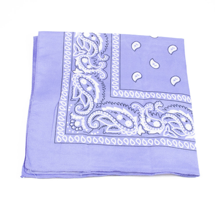 Paisley Bandana