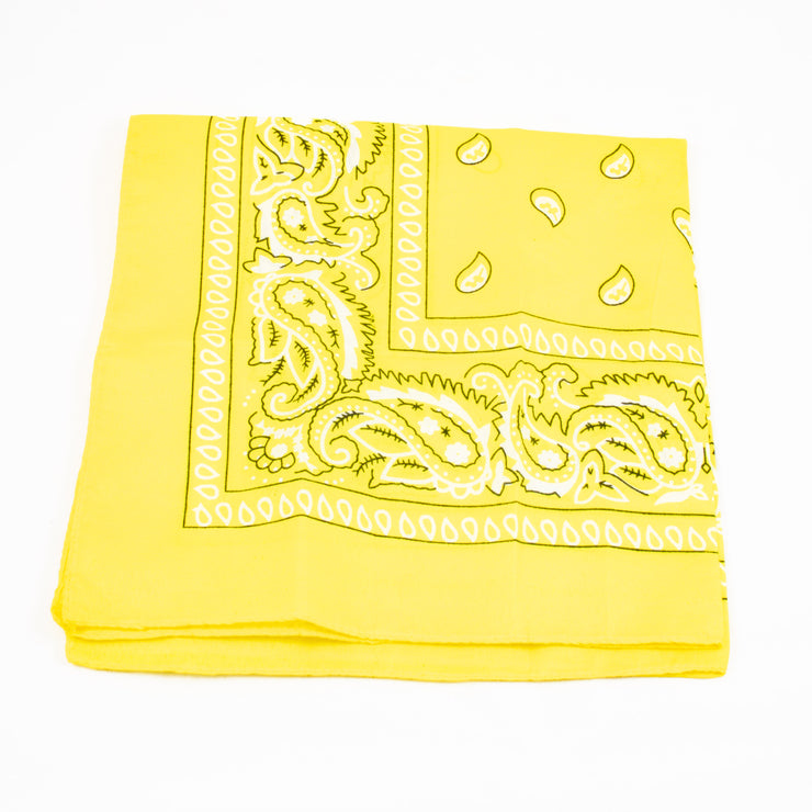 Paisley Bandana