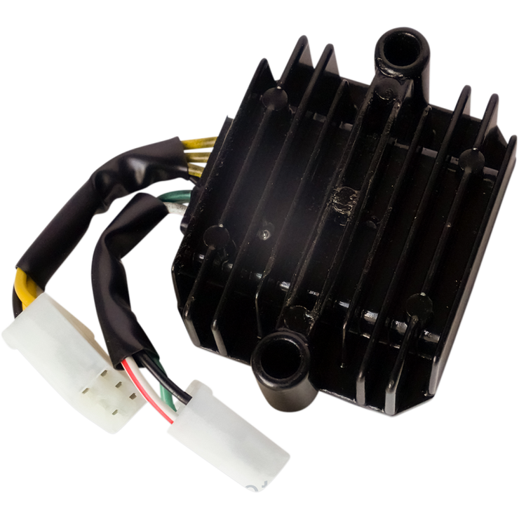 Rick's Motorsports Reg/Rec Lithium Ion